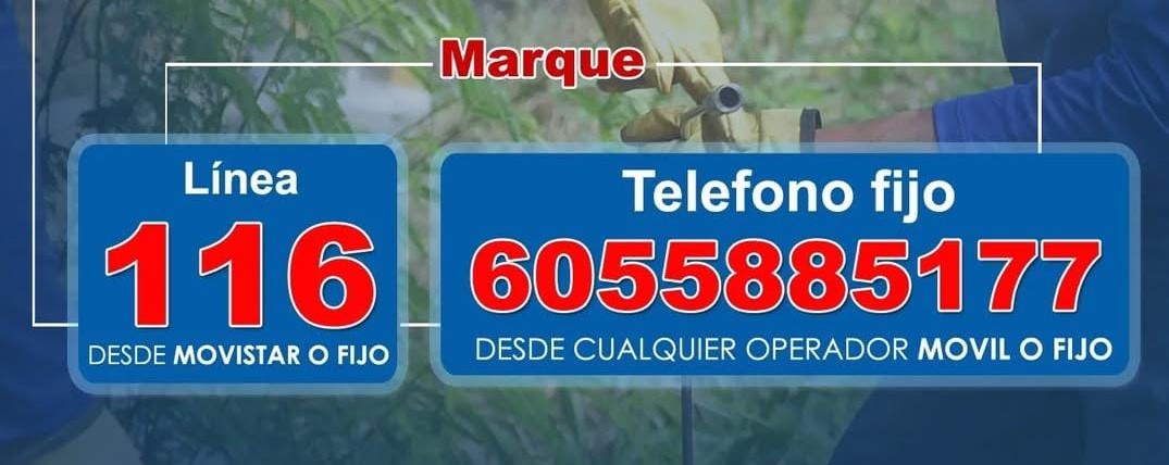 Linea_fraude_y_reportes2.jpg