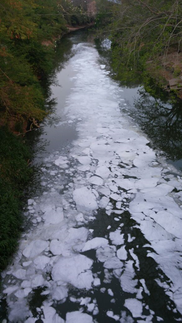 RIO CESAR ANTES DEL PROCESO 1