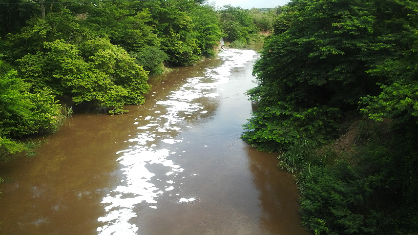 RIO CESAR EL 24 DE JULIO 2015